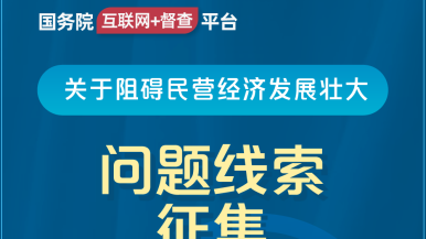 极品学生妹逼逼国务院“互联网+督查”平台公开征集阻碍民营经济发展壮大问题线索